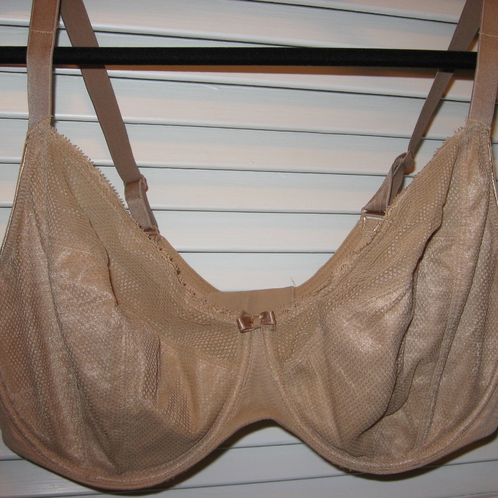 Chantell 38G Revele Moi Perfect Fit Underwire Bra